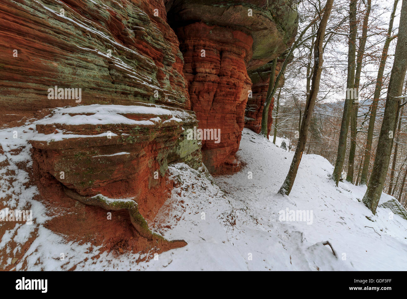 Monument naturel, l'Altschlossfelsen, Eppenbrunn, Rhénanie-Palatinat, Allemagne Banque D'Images