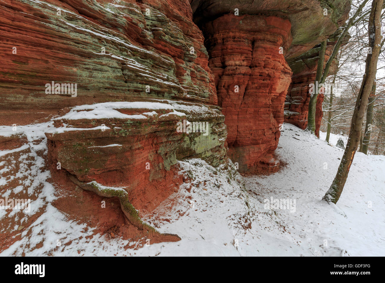 Monument naturel, l'Altschlossfelsen, Eppenbrunn, Rhénanie-Palatinat, Allemagne Banque D'Images
