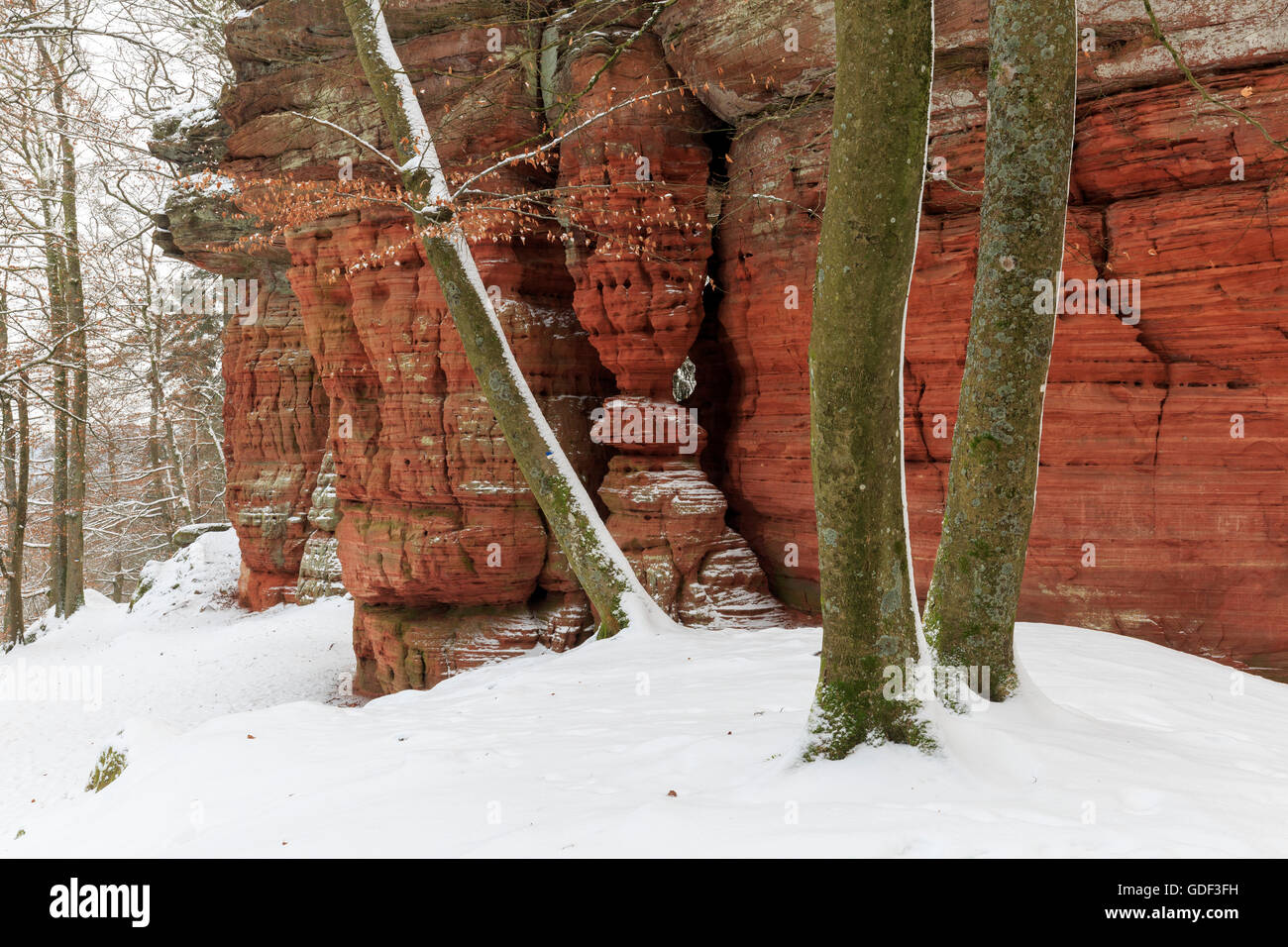 Monument naturel, l'Altschlossfelsen, Eppenbrunn, Rhénanie-Palatinat, Allemagne Banque D'Images