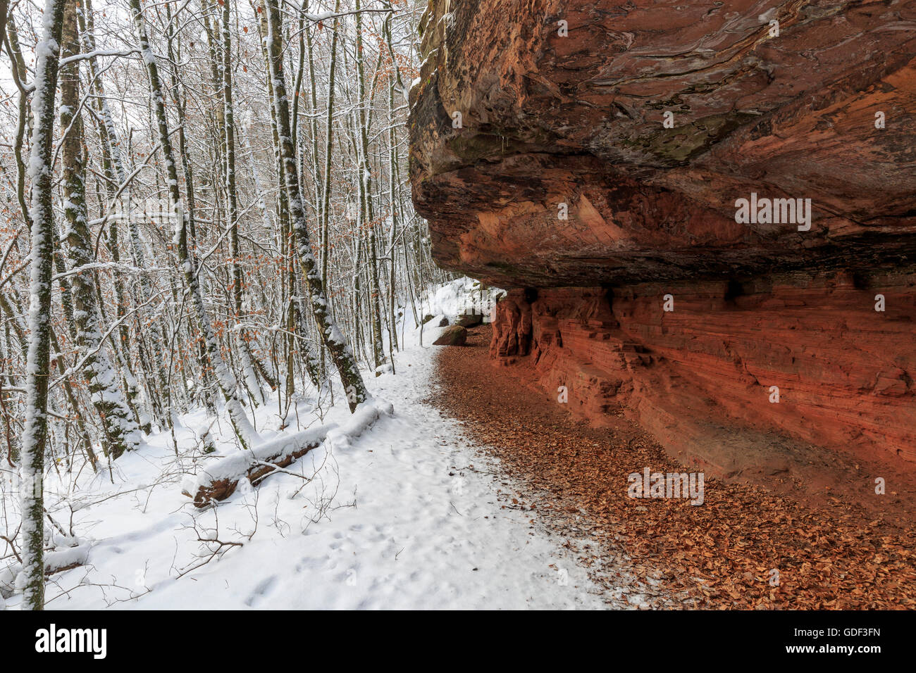 Monument naturel, l'Altschlossfelsen, Eppenbrunn, Rhénanie-Palatinat, Allemagne Banque D'Images