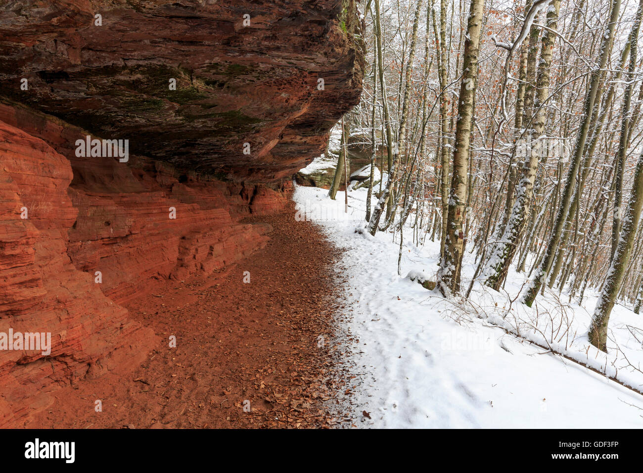 Monument naturel, l'Altschlossfelsen, Eppenbrunn, Rhénanie-Palatinat, Allemagne Banque D'Images