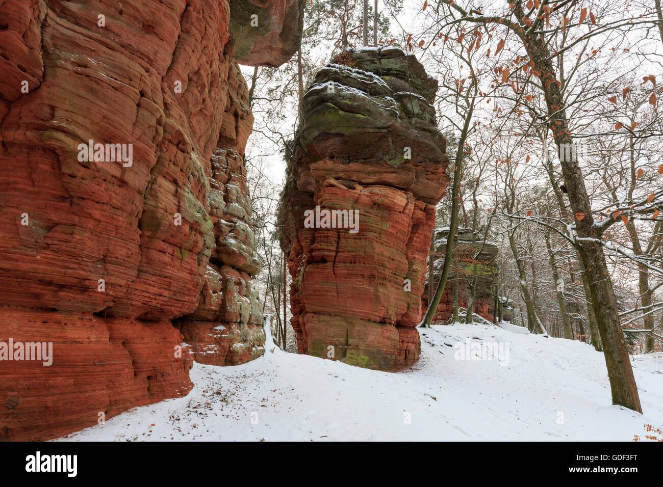 Monument naturel, l'Altschlossfelsen, Eppenbrunn, Rhénanie-Palatinat, Allemagne Banque D'Images