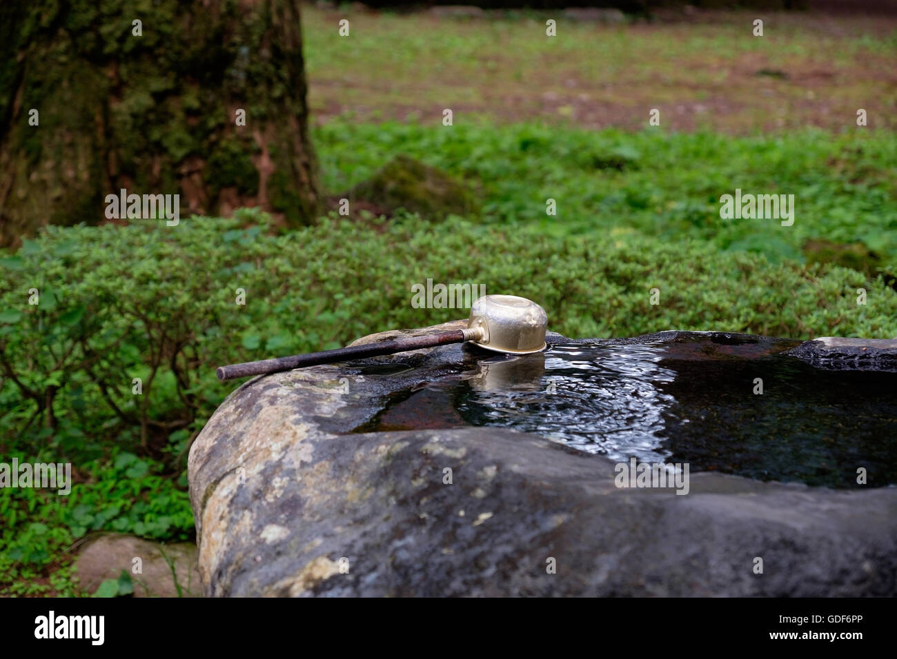 L'eau de nettoyage et tasse à la temple à Nikko, Japon. Banque D'Images
