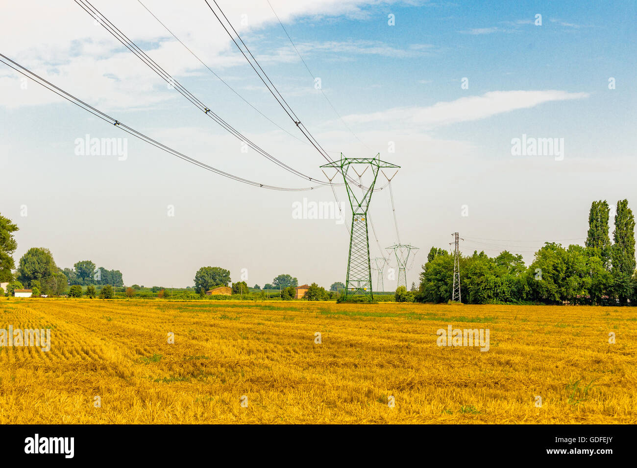 Pylônes à haute tension dans un champ de blé Banque D'Images