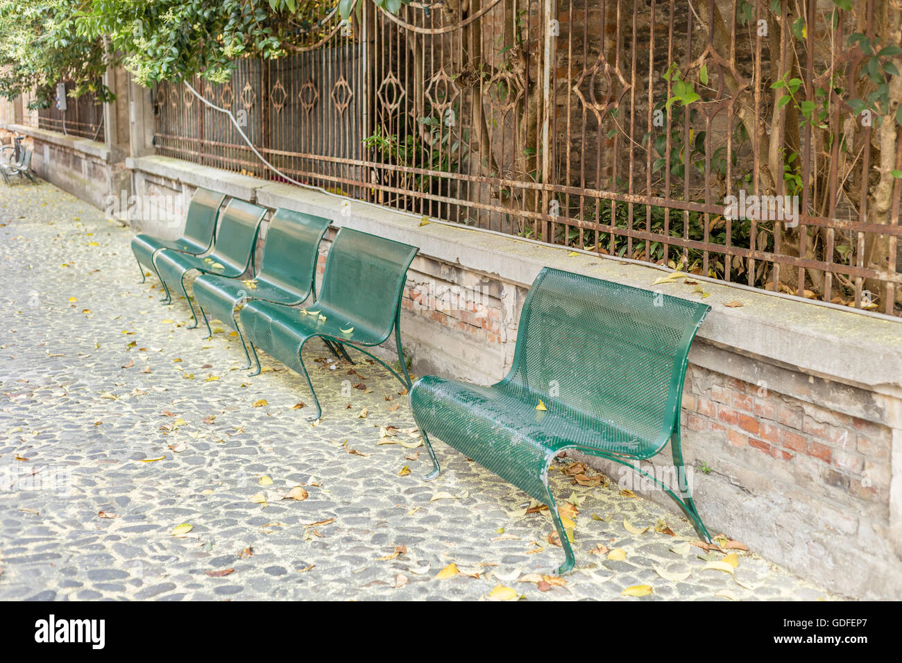 Bancs de fer vert alignés dans une rue pavée avec des feuilles et du pollen Banque D'Images