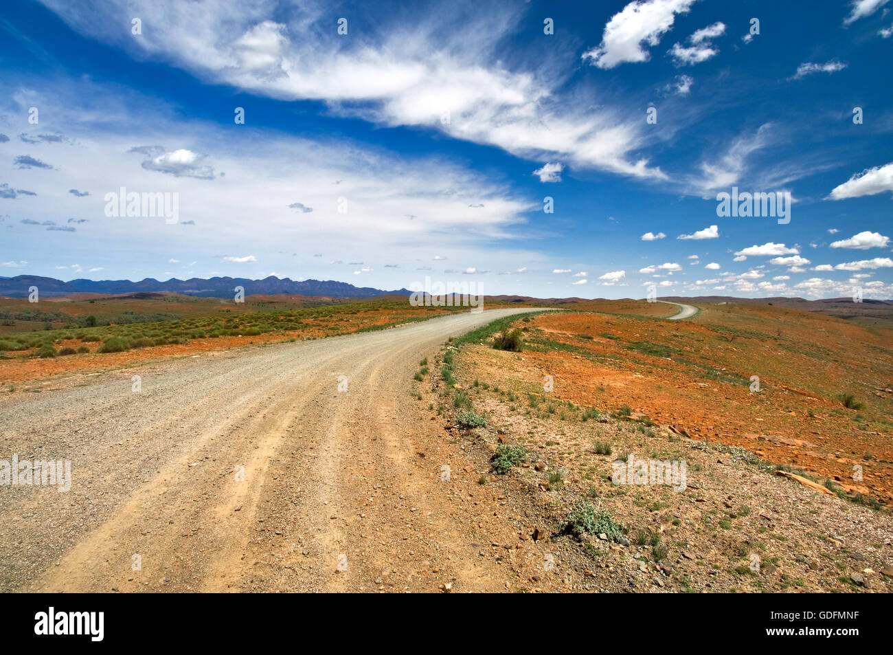 La chenille sur les collines dans la région de Flinders Ranges. Banque D'Images