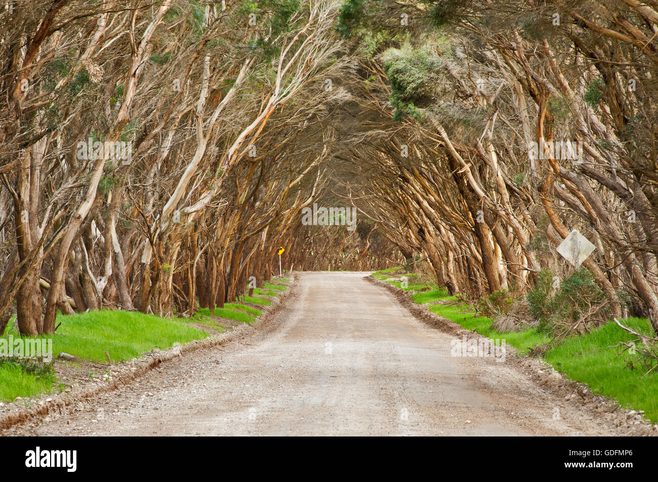 Cape Willoughby Road sur Kangaroo Island. Banque D'Images