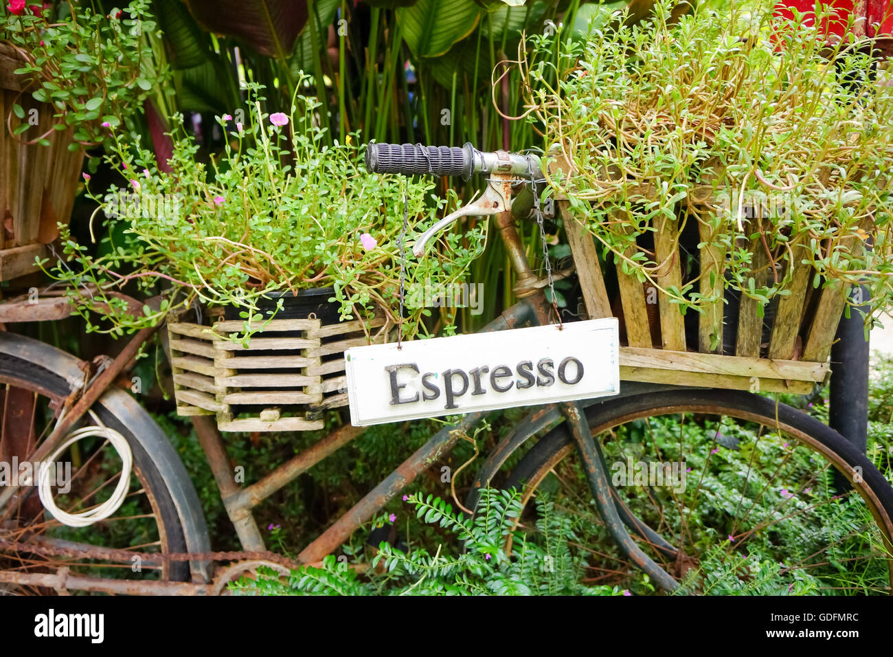 Oldbike avec plaque de l'espresso et du couvert forestier Banque D'Images