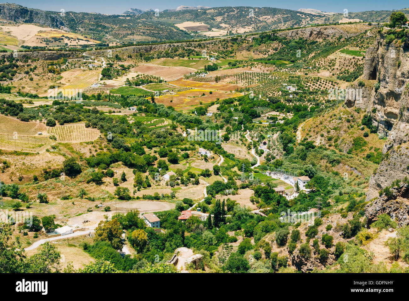 Paysage andalou d'été près de Ronda, Espagne. Banque D'Images