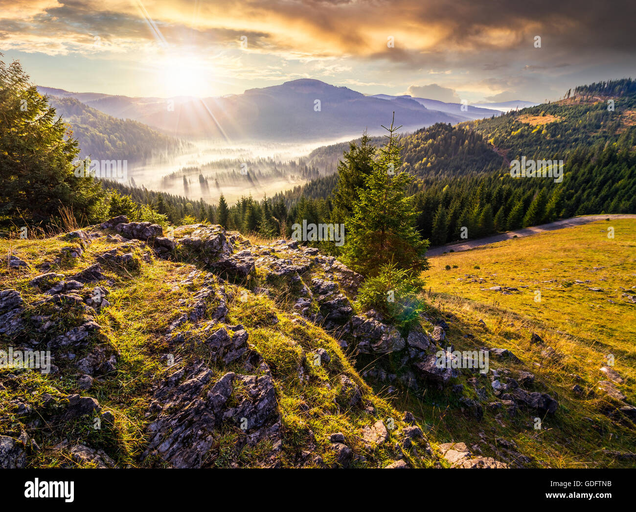 Vue depuis une falaise rocheuse de la vallée pleine de brouillard dans la forêt de conifères avec de hautes montagnes du Parc Naturel Apuseni en Roumanie en evenin Banque D'Images