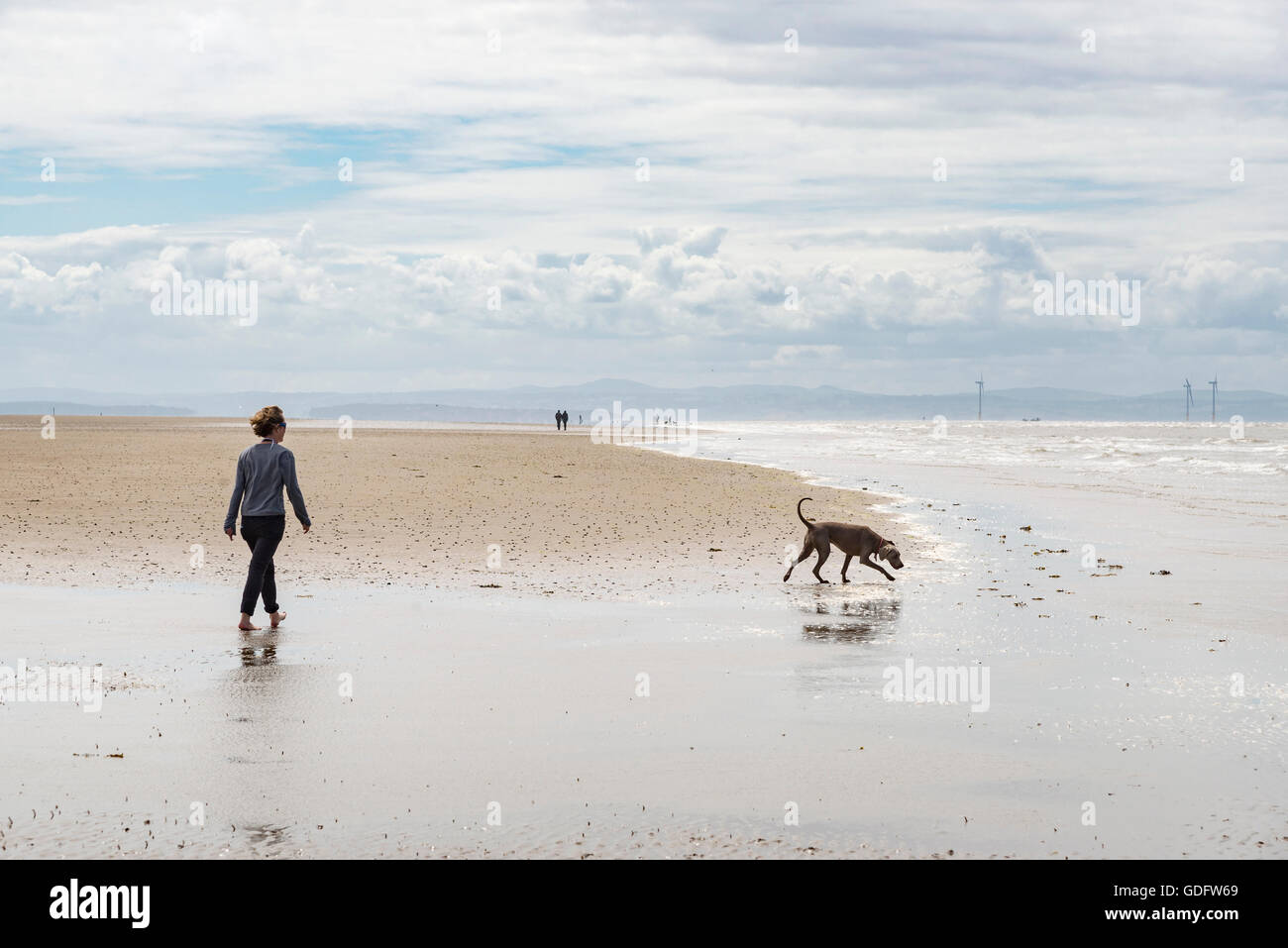 Femme promener son chien sur la plage de Formby point, le Merseyside en été. Banque D'Images