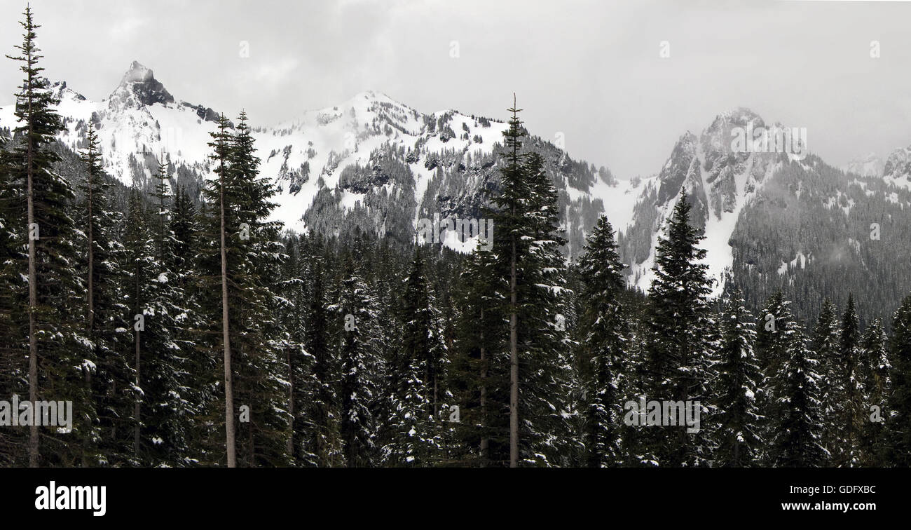 Une crête enneigée des monts Cascades fonctionnant à côté de la pittoresque route 410, en chemin vers le Mont Rainier National Park. Banque D'Images