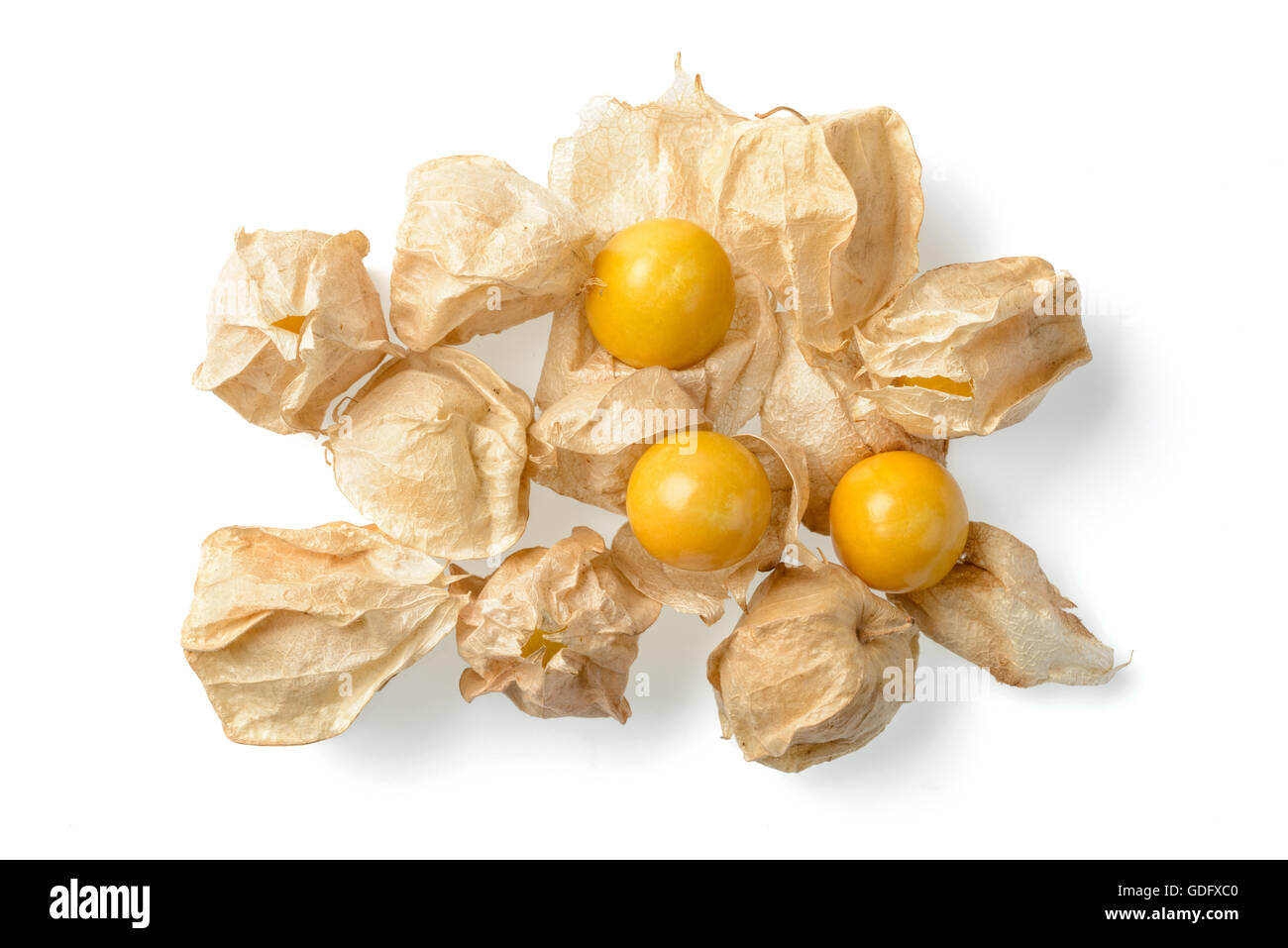 Golden berry on white Banque D'Images