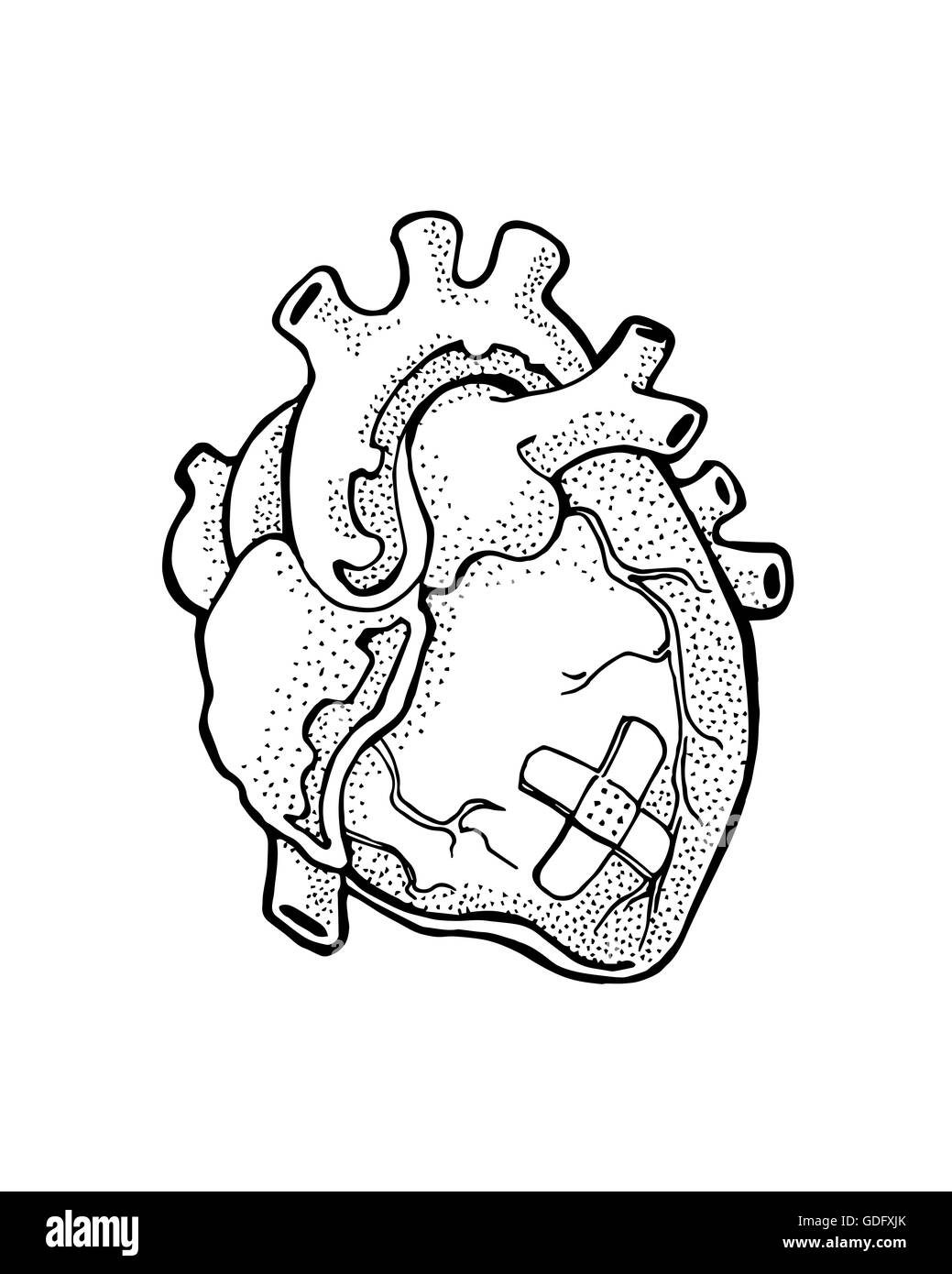 Illustration A La Main Ou D Un Dessin D Un Coeur Humain Photo Stock Alamy