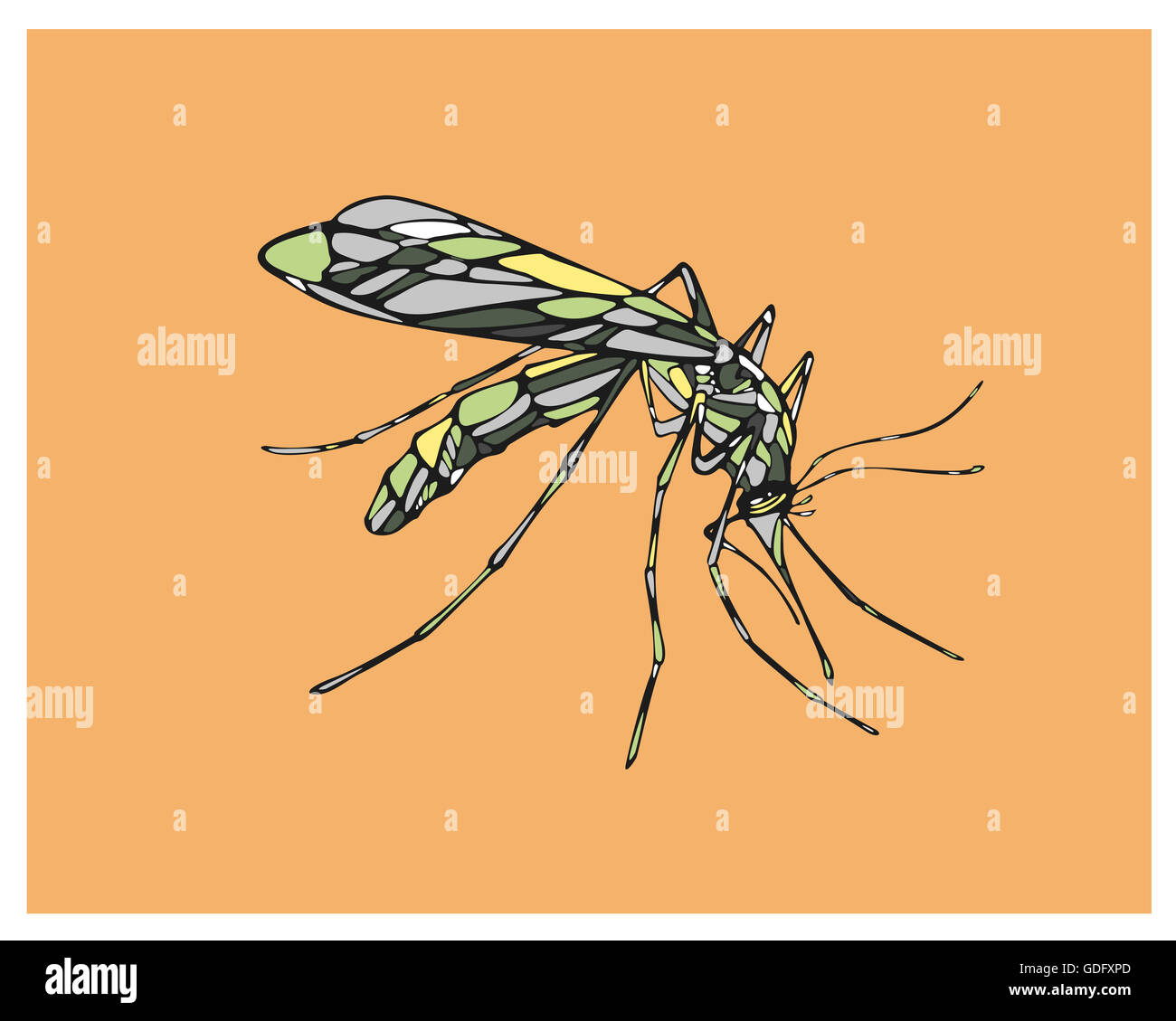 Part attirer l'illustration ou le dessin d'un moustique Photo Stock Alamy — free download