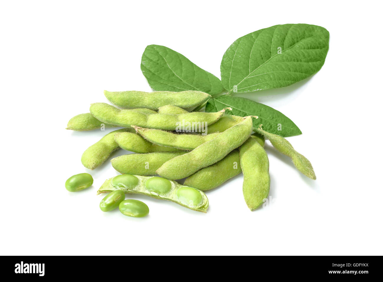 Les jeunes blancs sur le soja frais Banque D'Images