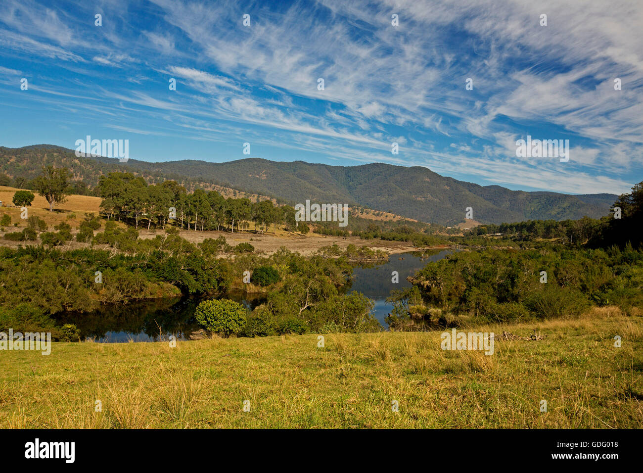 Paysage magnifique, Mann River trancheuse à travers des bois, des herbes d'or, les collines boisées de Great Dividing Range sous ciel bleu , Australie Banque D'Images