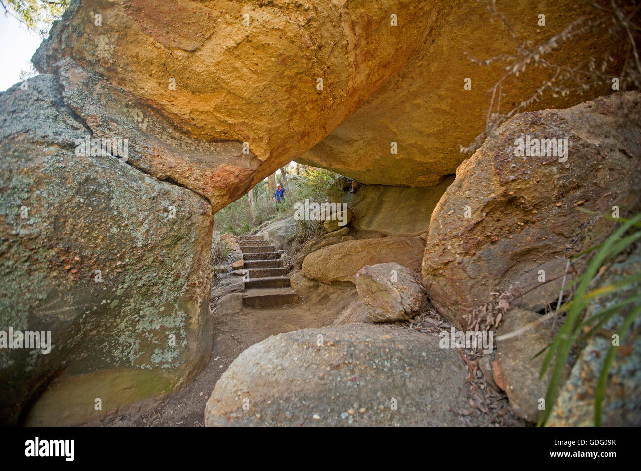 Par le biais de marches en pierre naturelle spectaculaire rock arch sur une piste de marche à travers la forêt dans la région de Goulburn River National Park, NSW Australie Banque D'Images