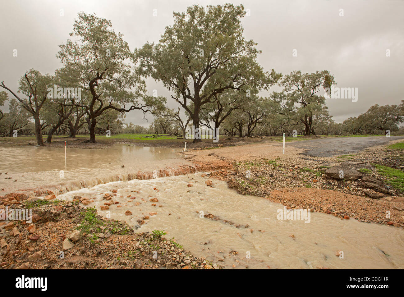 Inondé d'eau boueuse creek qui traverse les forêts d'eucalyptus et verser sur la route de bitume endommagé dans l'arrière-pays australien Après la sécheresse Banque D'Images