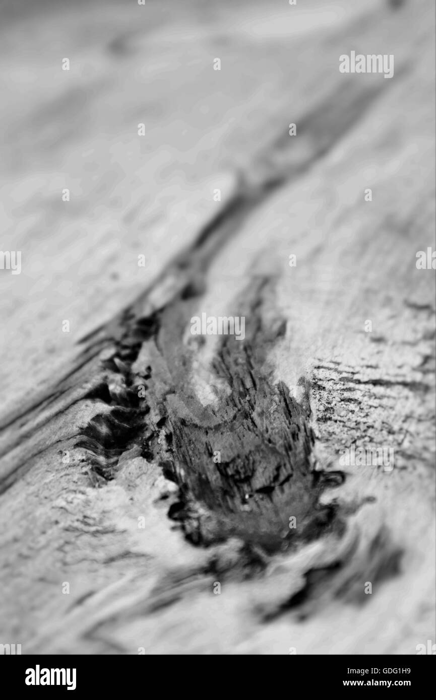 Une image en noir et blanc d'un noeud dans un morceau de bois. Banque D'Images