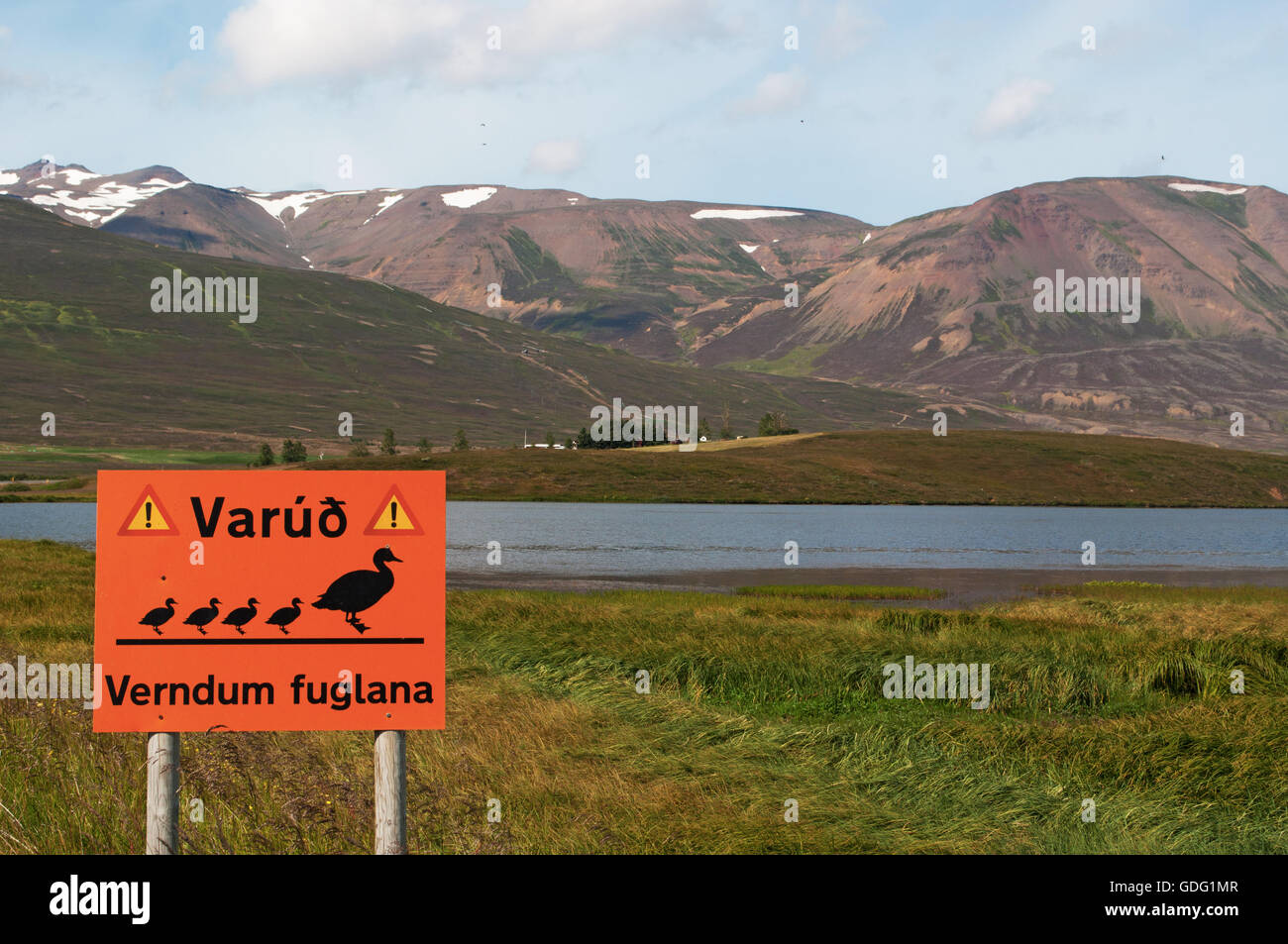 Islande : panneau d'avertissement pour le passage de canards dans le fjord d'Akureyri, la capitale du nord Banque D'Images