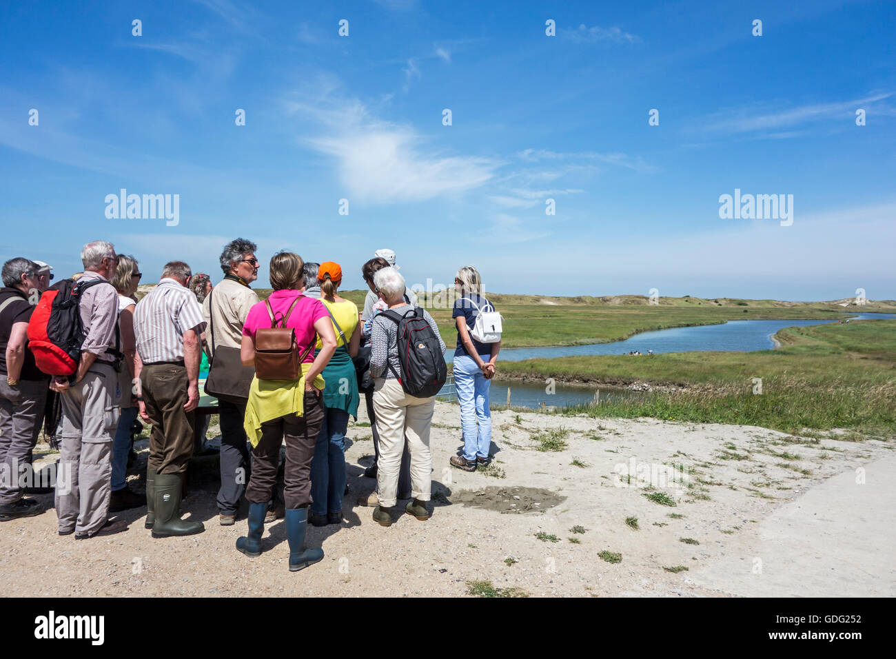 Guide des visiteurs à plus de dans le marais salant Zwin Nature Park, refuge d'oiseaux à Knokke-Heist, Flandre occidentale, Belgique Banque D'Images