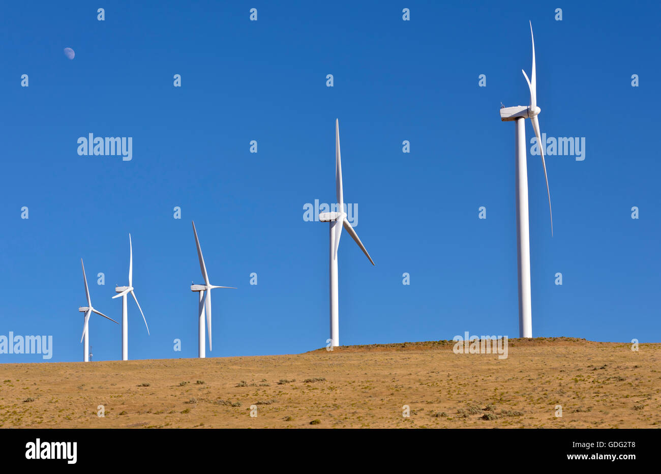 Énergie éolienne produite par de grandes lames tournant sur une colline dans l'Oregon. Banque D'Images