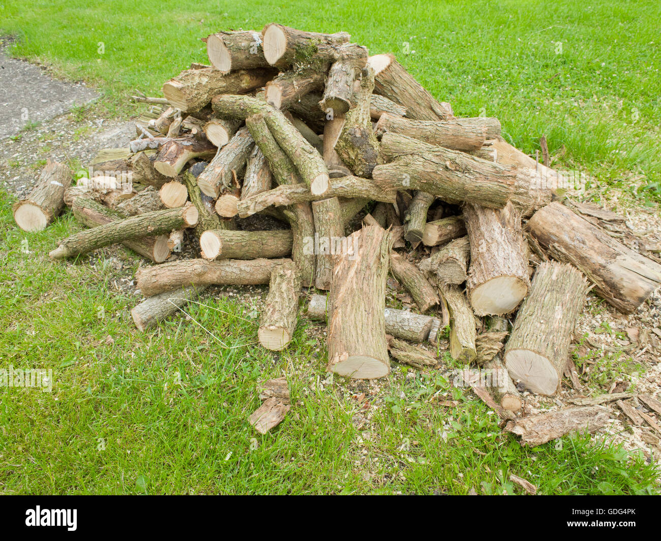 Pile de billots, prêt à brûler au cours de l'hiver. Banque D'Images