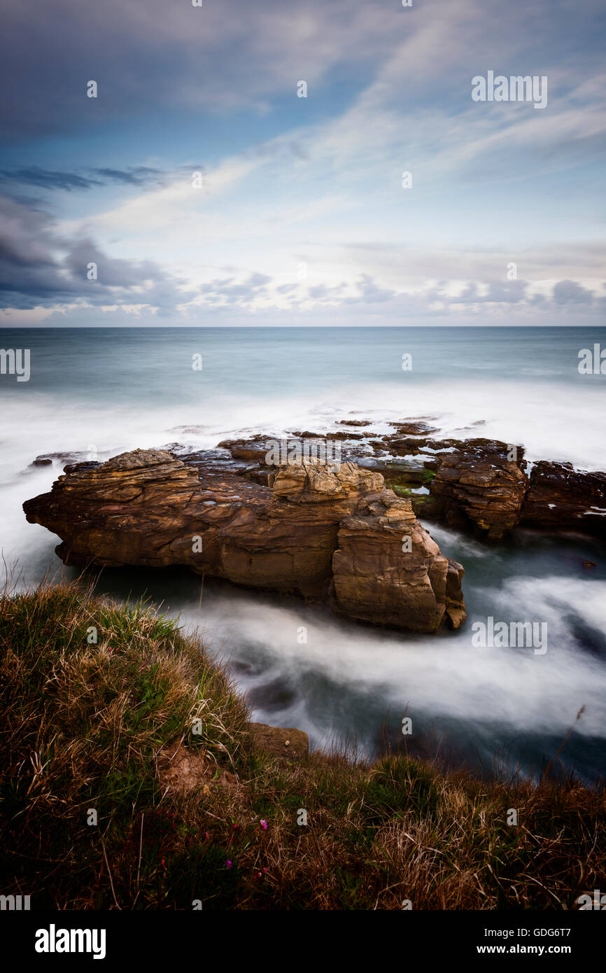 Vue depuis les falaises près de Howick, Northumberland Banque D'Images