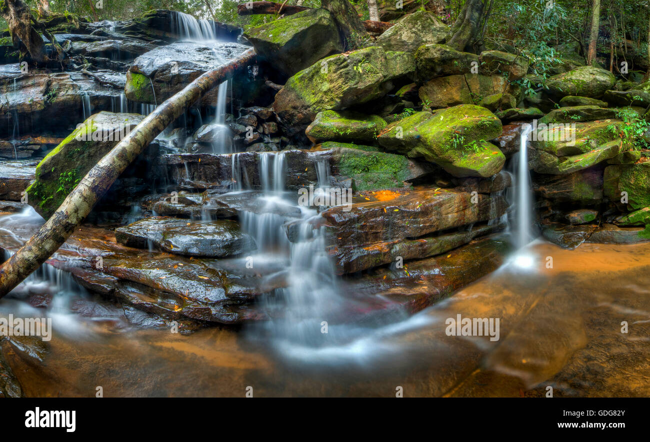 Somersby inférieure Falls, New South Wales, Australie Banque D'Images