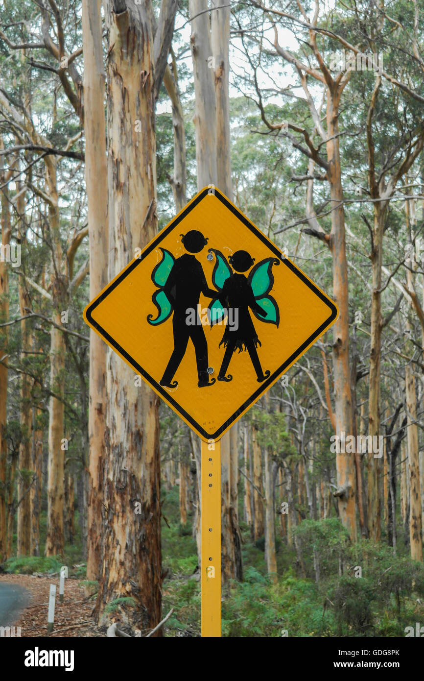 Peintes dans la forêt de Karri à Margaret River - Australie Occidentale Banque D'Images