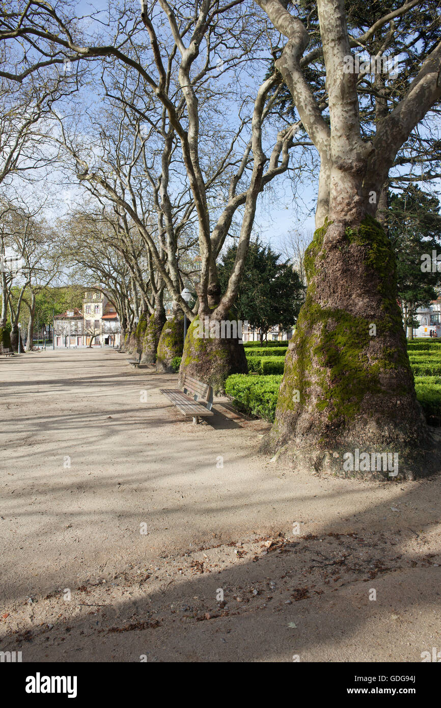 Jardim da Cordoaria ou Trovador Jardin à Porto, Portugal au printemps Banque D'Images