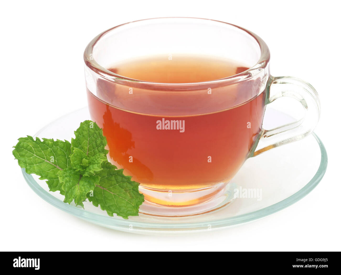 Tisane dans une tasse de feuilles de menthe sur fond blanc Banque D'Images