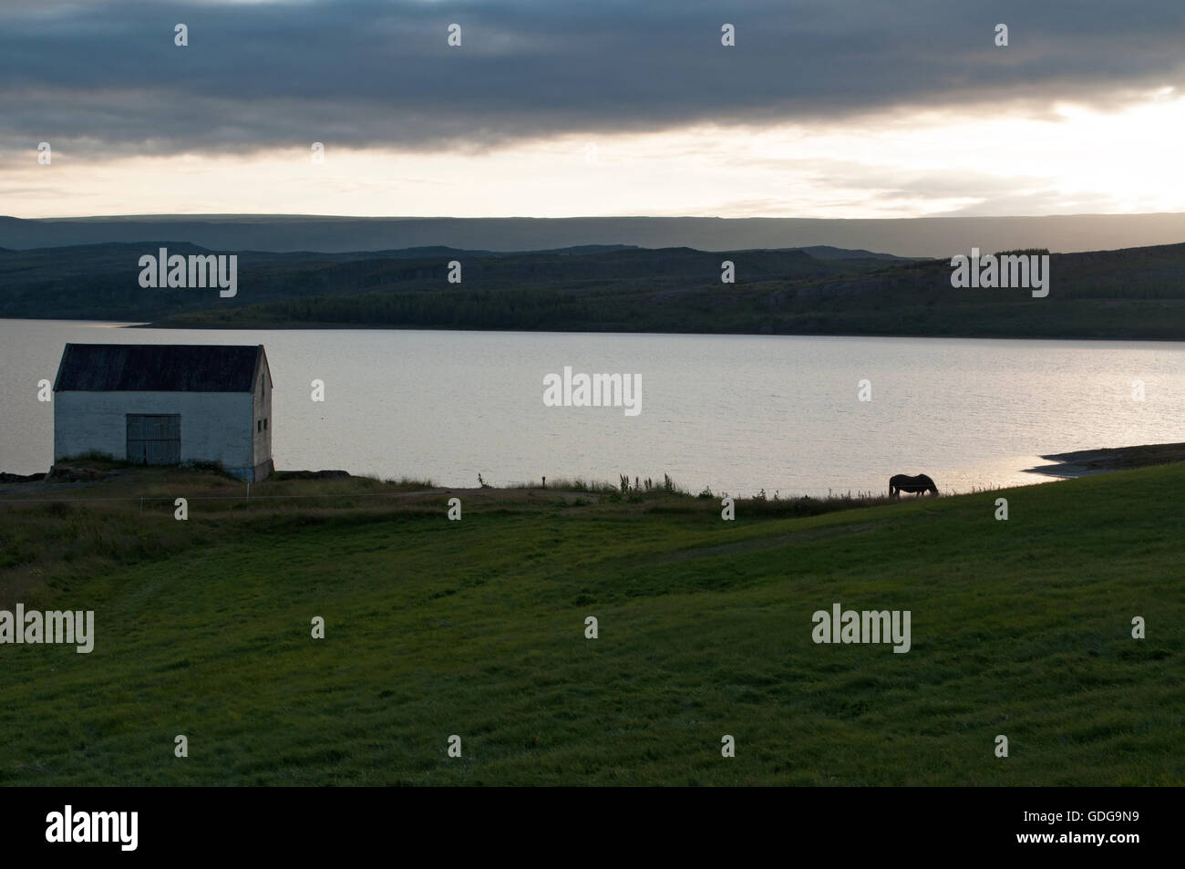 L'Islande, l'Europe : paysage à couper le souffle sur les rives de la rivière Lagarfljot dans la campagne de Egilsstadir, une ville dans la partie orientale de l'île Banque D'Images