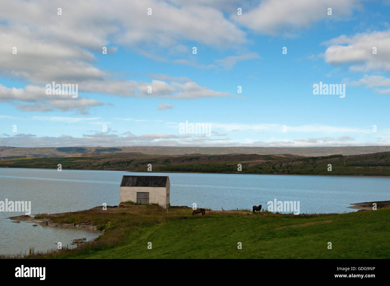 L'Islande, l'Europe : paysage à couper le souffle sur les rives de la rivière Lagarfljot dans la campagne de Egilsstadir, une ville dans la partie orientale de l'île Banque D'Images