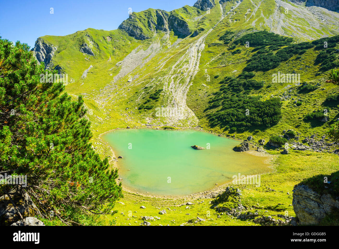 Allgäu,Alpes d'Allgäu, Bavière,Alpes,près d'Oberstdorf,paysage de montagne lac de montagne,montagne,monde,Allemagne,europe,Gaisalp Banque D'Images