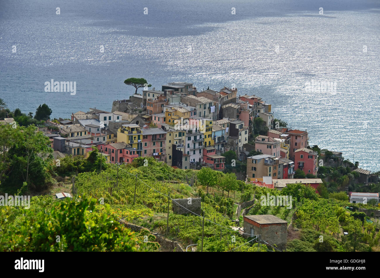 Belle lumière illumine le village de Corniglia dans les Cinque Terre, sur la côte ligurienne Banque D'Images