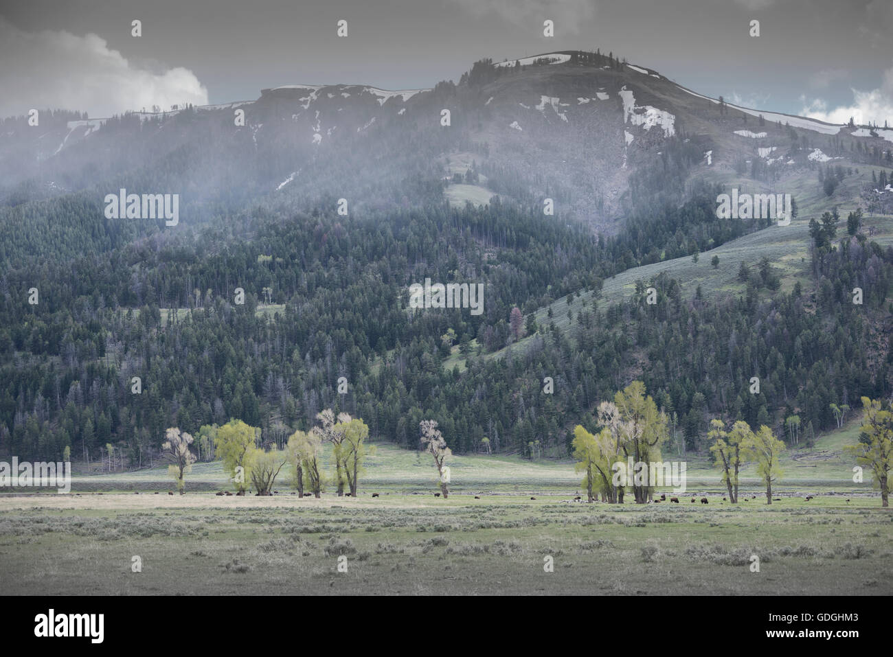 Montagnes Rocheuses,USA,Wyoming Yellowstone National Park,,,UNESCO du patrimoine mondial,orage dans la vallée de Lamar, Banque D'Images