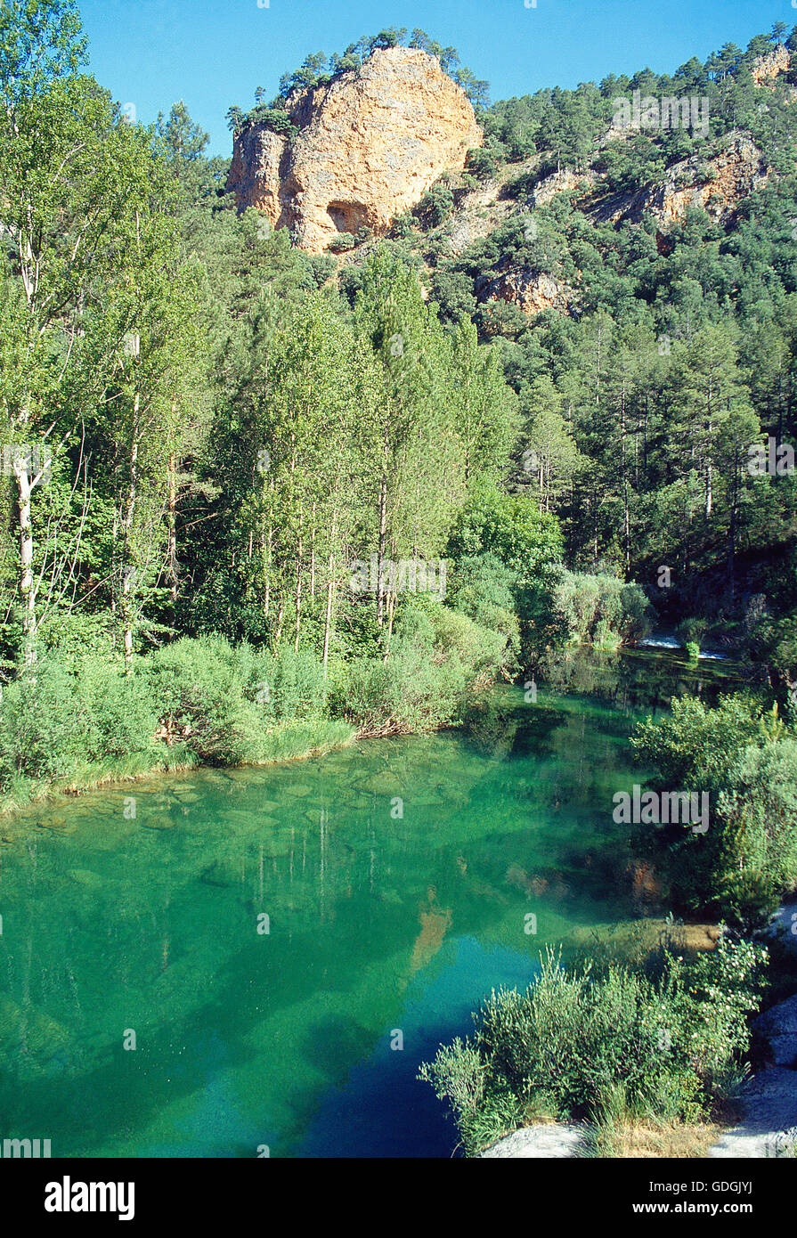 Tage. Réserve Naturelle Alto Tajo, province de Guadalajara, Castille La Manche, Espagne. Banque D'Images