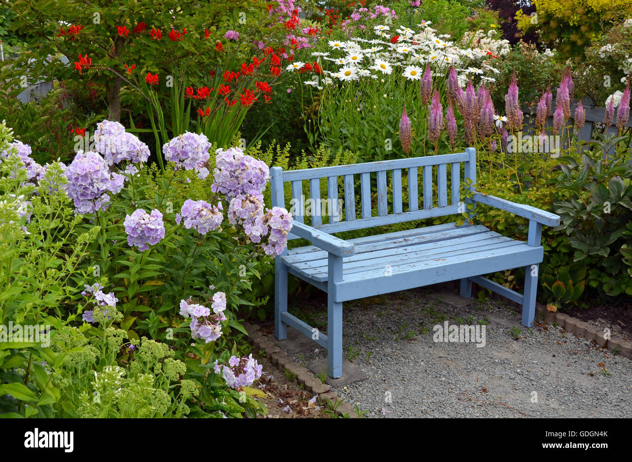 Banc de jardin en bois ancien bleu dans le jardin d\'été colorés ... Banc de jardin en bois ancien bleu dans le jardin d\'été colorés ...