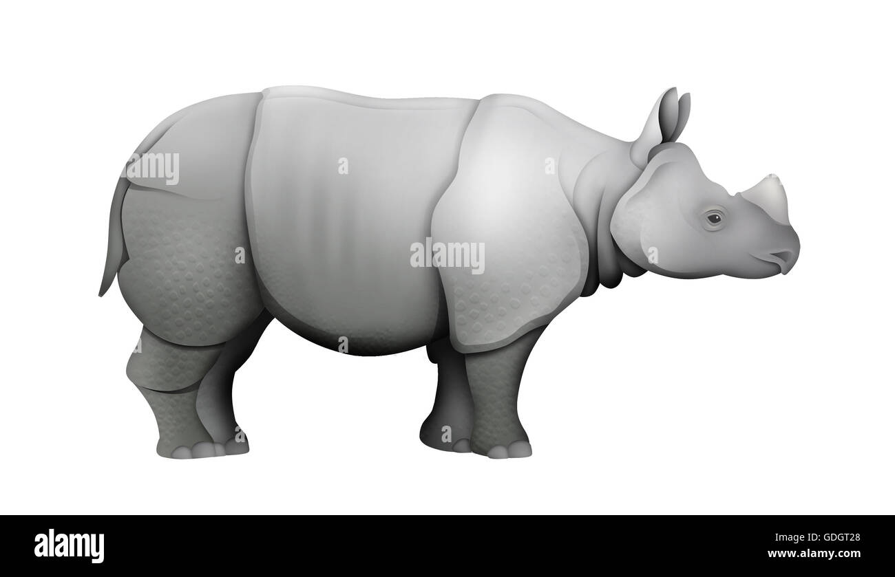 Le Rhinocéros indien (Rhinoceros unicornis). Banque D'Images