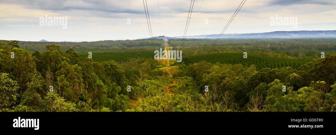 Recherche le long de la voie de transmission sur le Glasshouse Mountains National Park à la suite du réseau haute tension Powerlink Banque D'Images