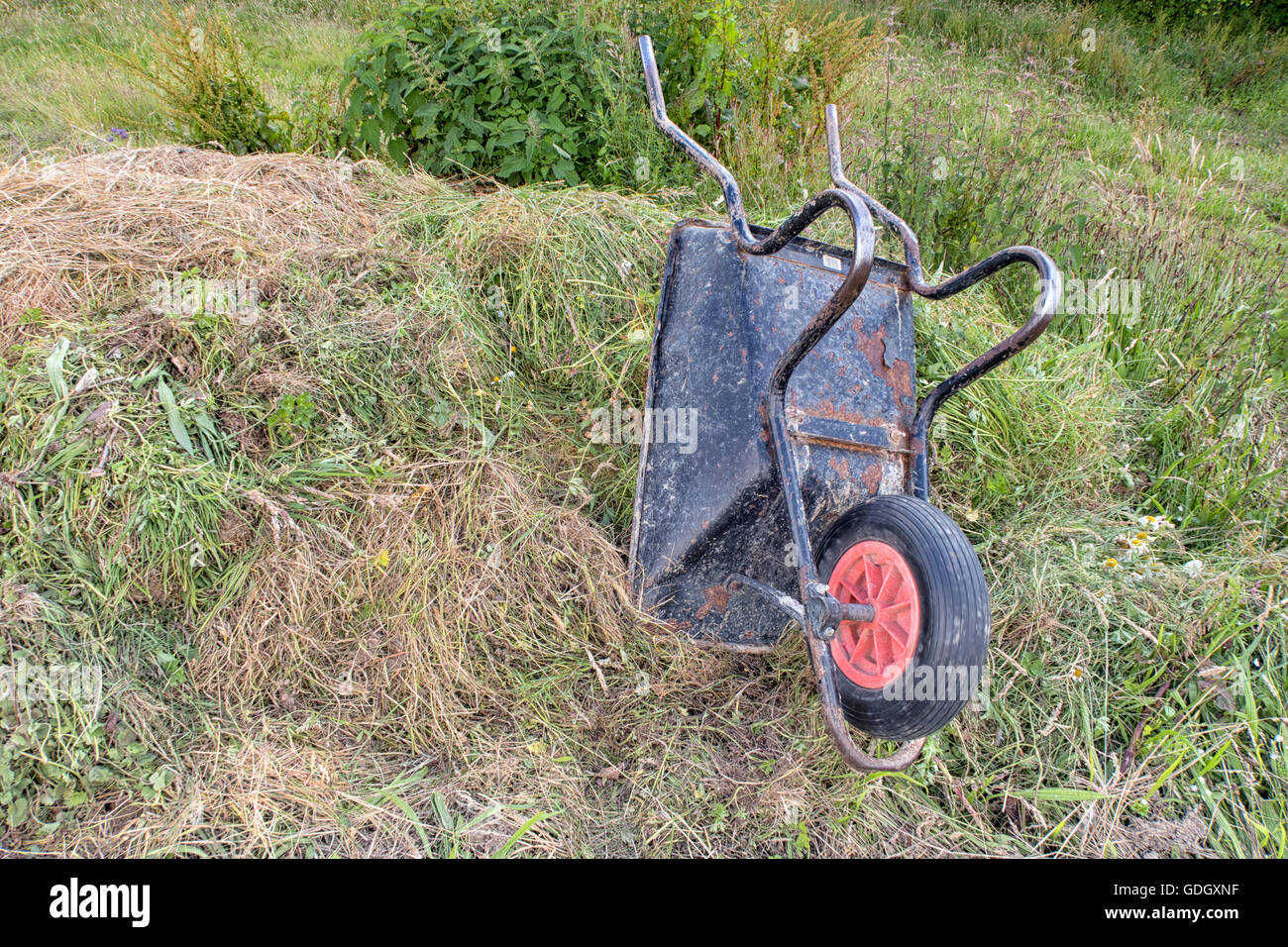 Une brouette renversée sur un tas de compost de gazon et les mauvaises  herbes Photo Stock - Alamy