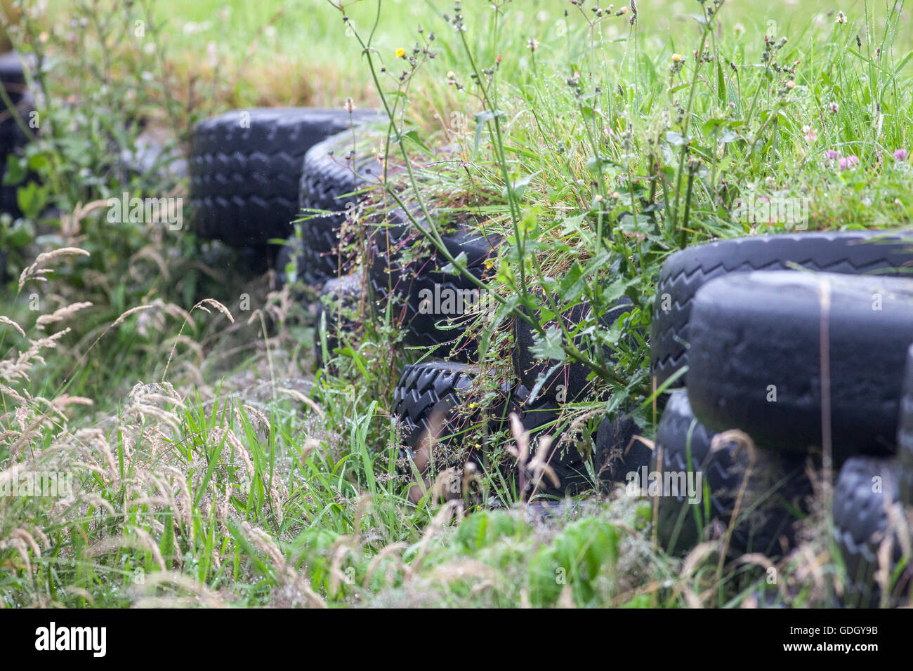 Un vieux coffre mur de pneus en train de le reconquérir par la nature et recouvert d'herbe. Banque D'Images