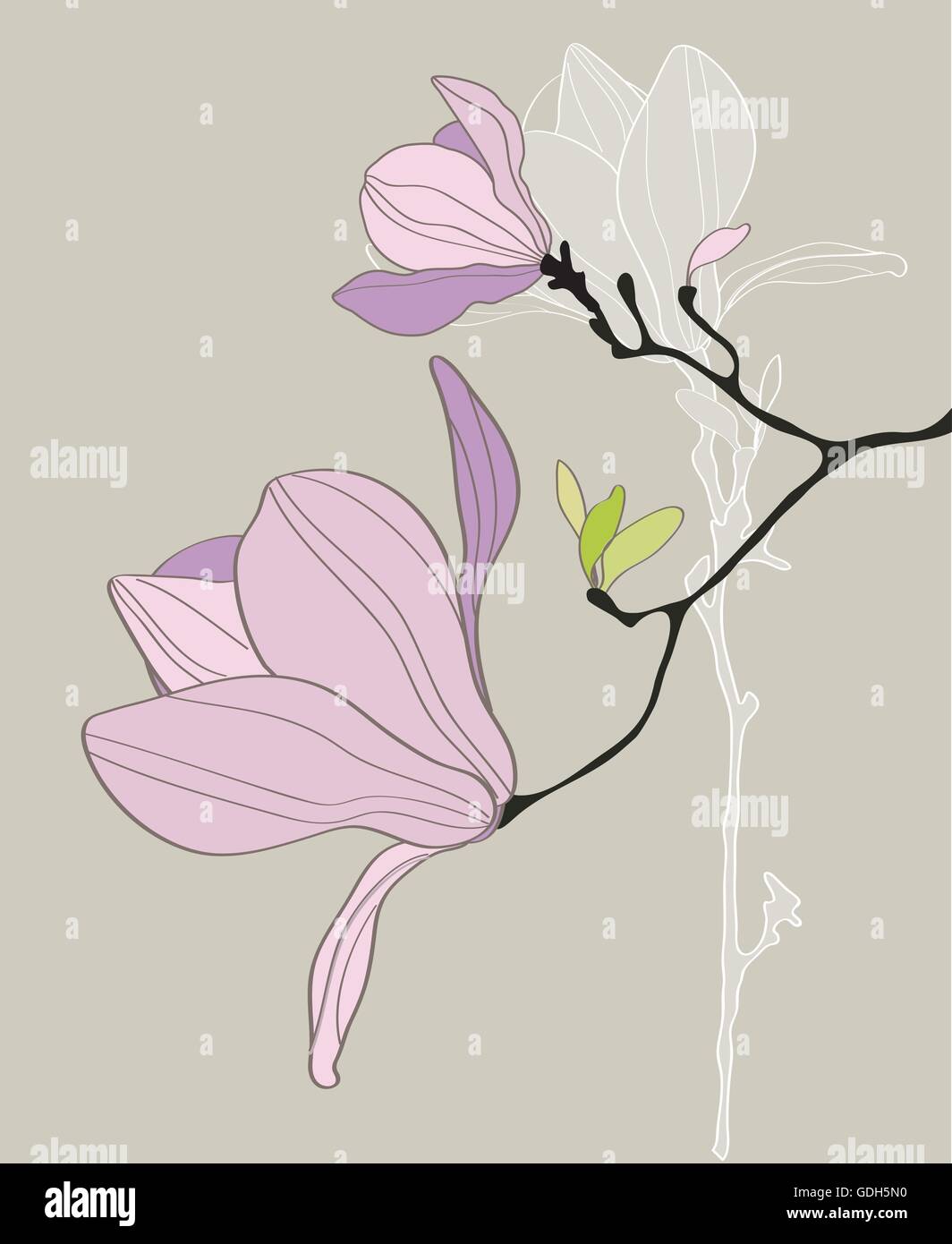 Carte avec rétro magnolia stylisé Illustration de Vecteur