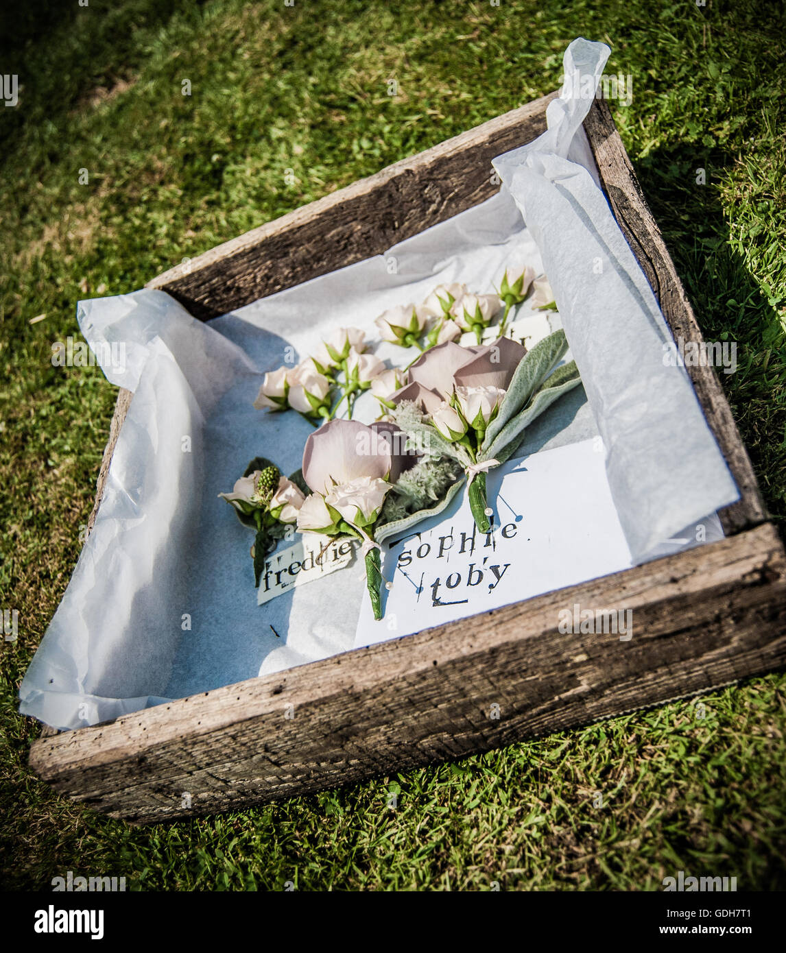Boutonnières mariage fixant dans une caisse en bois vintage Banque D'Images
