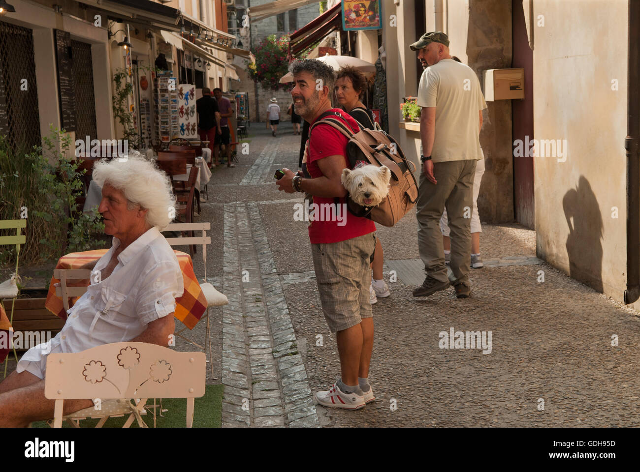 Chien étant porté dans un sac à bandoulière, vieux chien a des problèmes de mobilité adulte couple marié en vacances dans le village près de Montpellier sud de la France des années 2016 2010 HOMER SYKES Banque D'Images