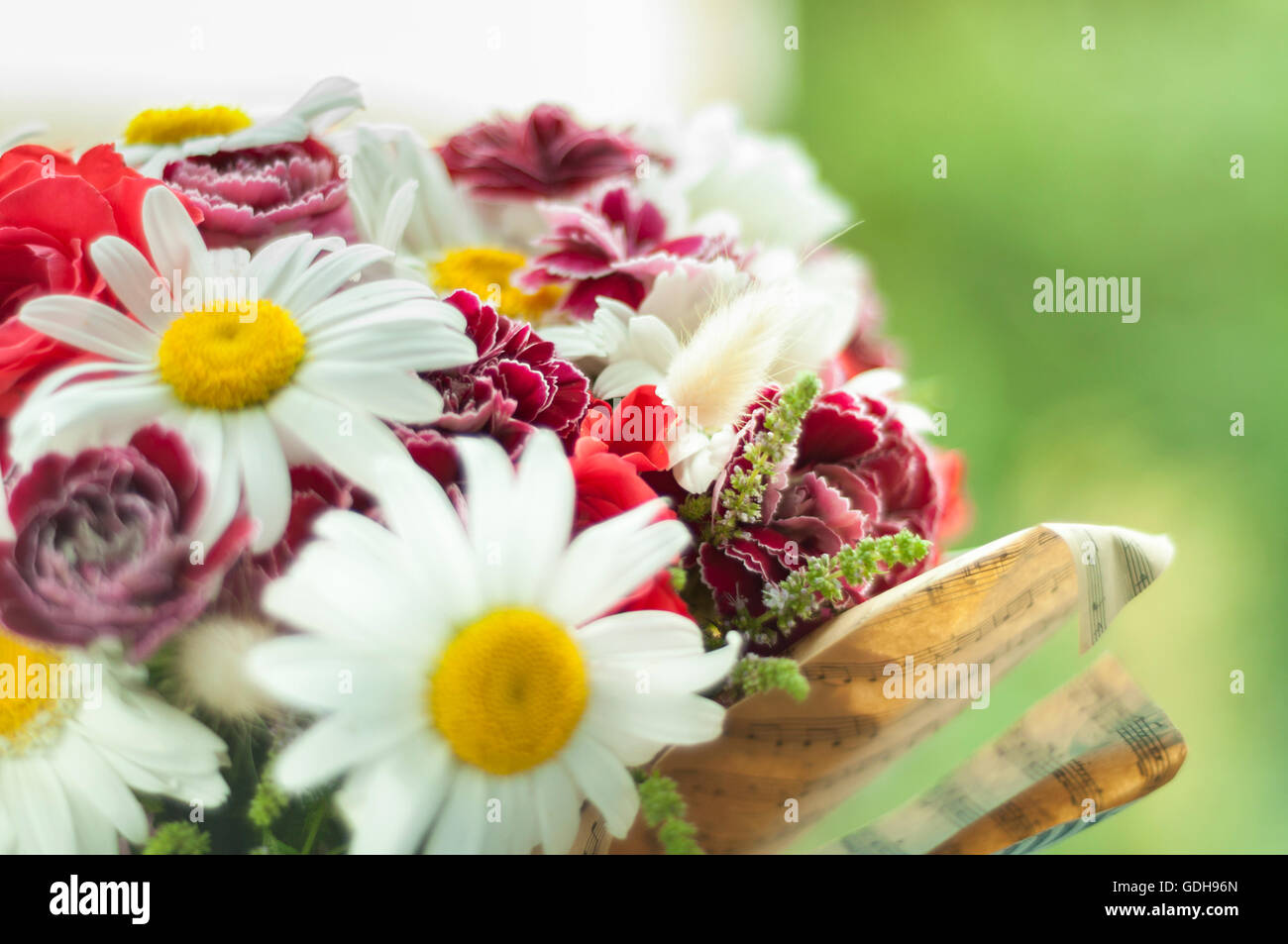 Bouquet coloré à la fenêtre. Macro Banque D'Images