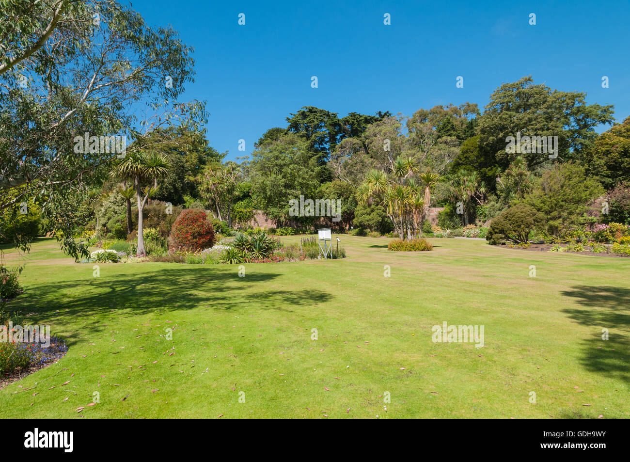 Parterres de palmiers et d'alwn station météo avec le jardin botanique Logan Logan Port Scotland Dumfries & Galloway Banque D'Images