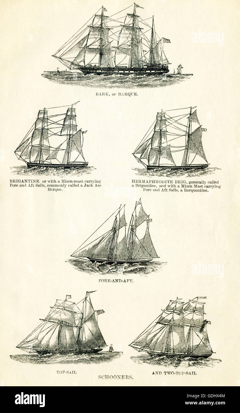 Les navires apparaissant dans ce 19ème siècle dimensions sont tous des goélettes. De haut en bas, de gauche à droite : écorce (barque), brigantin brick, hermaphrodites, avant-arrière, haut-voile, deux-top-voile. Banque D'Images